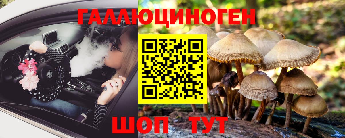 Михайловка  Псилоцибиновые грибы ЛСД  Вход с VPN  Галлюциногенные грибы Magic Shrooms 